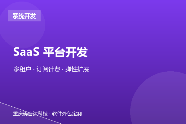 SaaS 平台开发